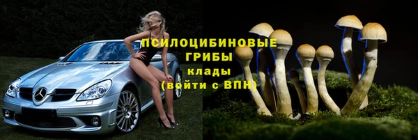 дурь Заводоуковск