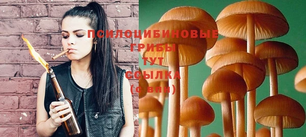 дурь Заводоуковск