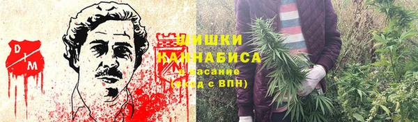 дурь Заводоуковск
