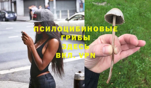 ECSTASY Сафоново
