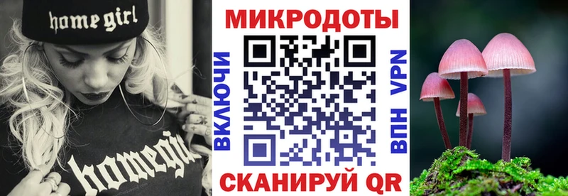 Купить  Дно  Псилоцибиновые грибы прущие грибы 